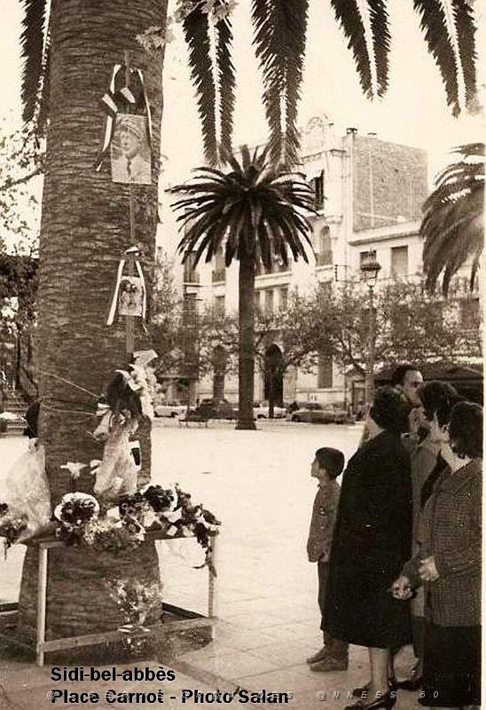 Oran- SDV- 0504.jpg